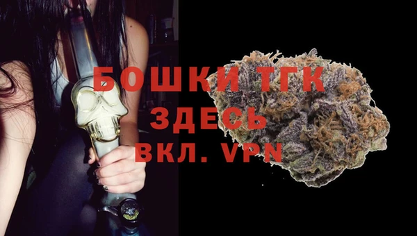 крисы Аркадак
