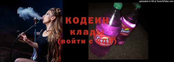 крисы Аркадак