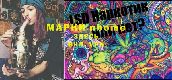крисы Аркадак