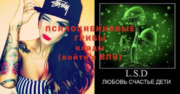 крисы Аркадак