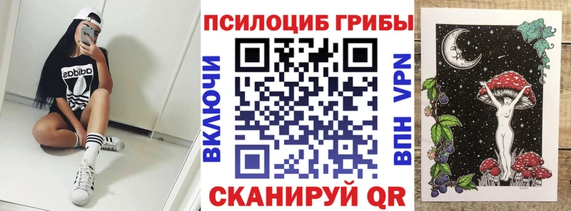 Псилоцибиновые грибы Psilocybine cubensis  Вязьма 
